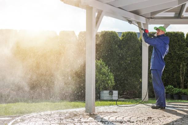 Best Soft Washing for Delicate Surfaces in Johns Creek, GA